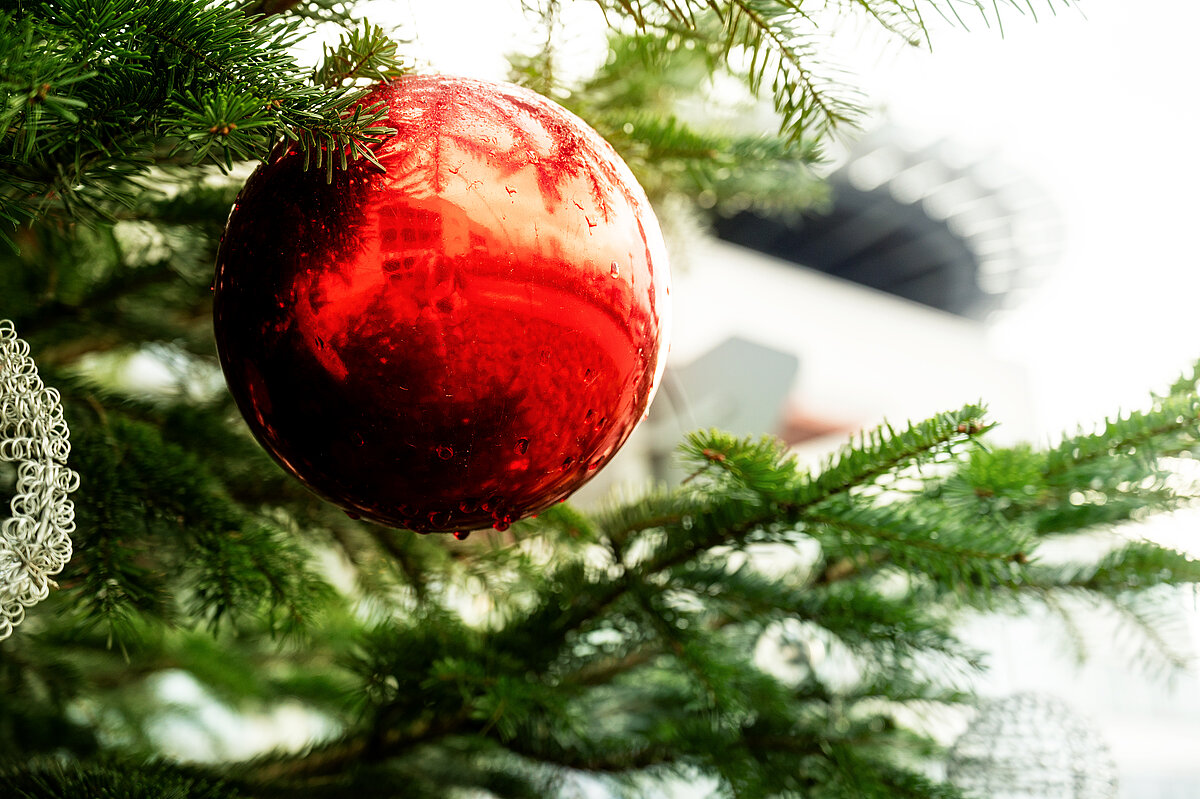 Weihnachten im Dienst: Stimmen von Mitarbeitenden | News