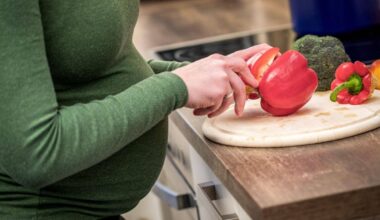 Bonn | Im Test: Was taugt ein Essensplan von der KI für Schwangere?