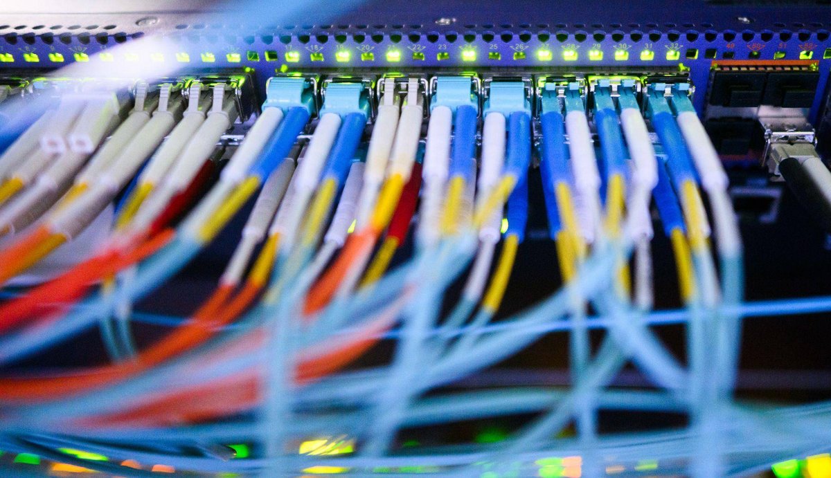 Bremen | Sorge um Datenzugriff: Was passiert bei einer AfD-Regierung?