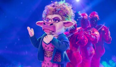 Köln | Eine Kuh gewinnt «The Masked Singer»