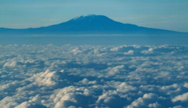 Moshi | Fünf Tote bei Hubschrauberabsturz am Kilimandscharo