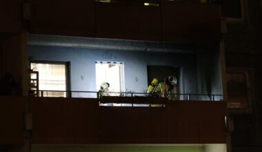 Feuerwerk löst Brände in Dresden aus