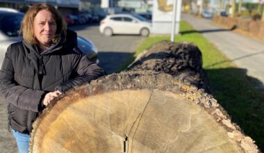 Kirche-und-Leben.de - Ahlers Wohnen: Nachhaltigkeit und Schöpfung verpflichtet