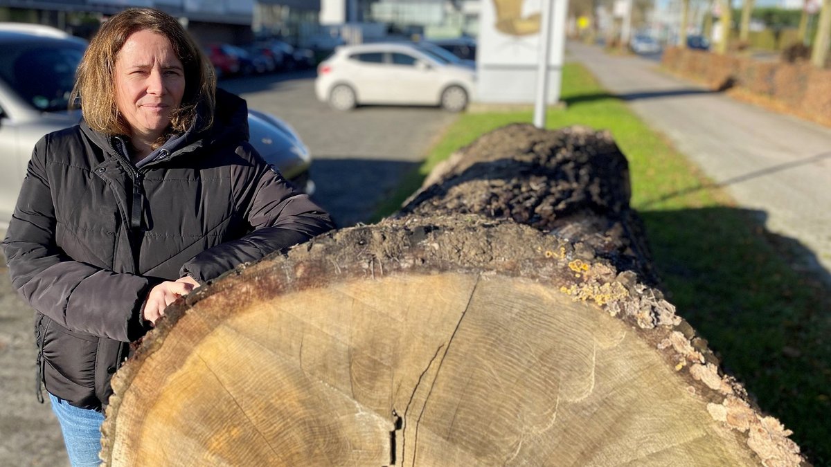 Kirche-und-Leben.de - Ahlers Wohnen: Nachhaltigkeit und Schöpfung verpflichtet