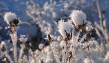 Neue Wetterdienst-Prognose: An Heiligabend schneit´s in Leipzig