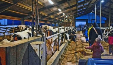 3 Tipps im Advent | Ahoi Leipzig