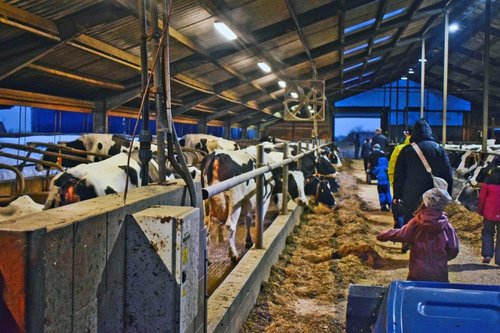 3 Tipps im Advent | Ahoi Leipzig