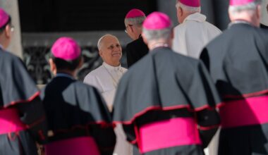 Kirche-und-Leben.de - Münster erwartet neuen Bischof