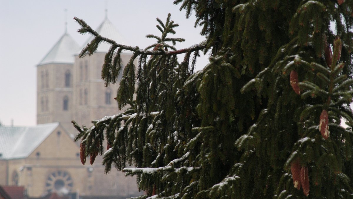 und-Leben.de - Münster: Die Gottesdienste im Dom an Weihnachten und zum Jahreswechsel