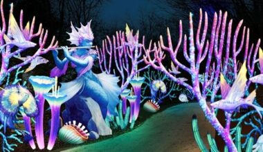 Eine Reise ins Reich der Fantasie