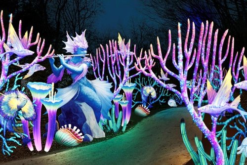 Eine Reise ins Reich der Fantasie