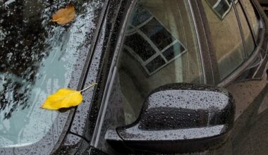 Klar durch die Stadt: Warum gute Sicht im Leipziger Alltag wichtiger ist, als viele denken