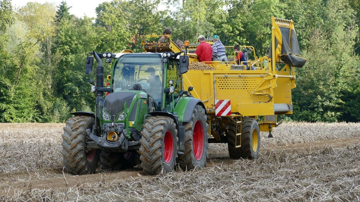 Kreis Herford: Landwirte mit Ernte in 2025 zufrieden