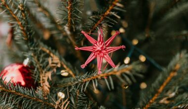 Herford: Kinder schmücken Weihnachtsbäume in der Innenstadt