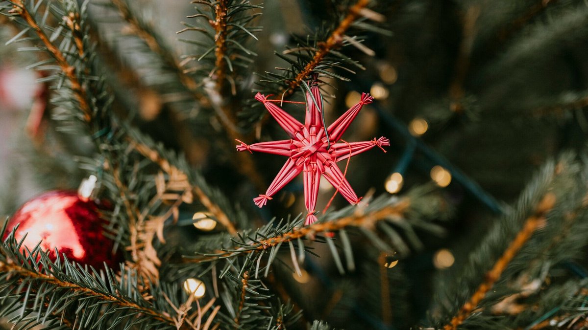 Herford: Kinder schmücken Weihnachtsbäume in der Innenstadt