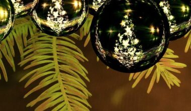 Adventsmarkt und Weihnachtsbäume am - Duisburg Live