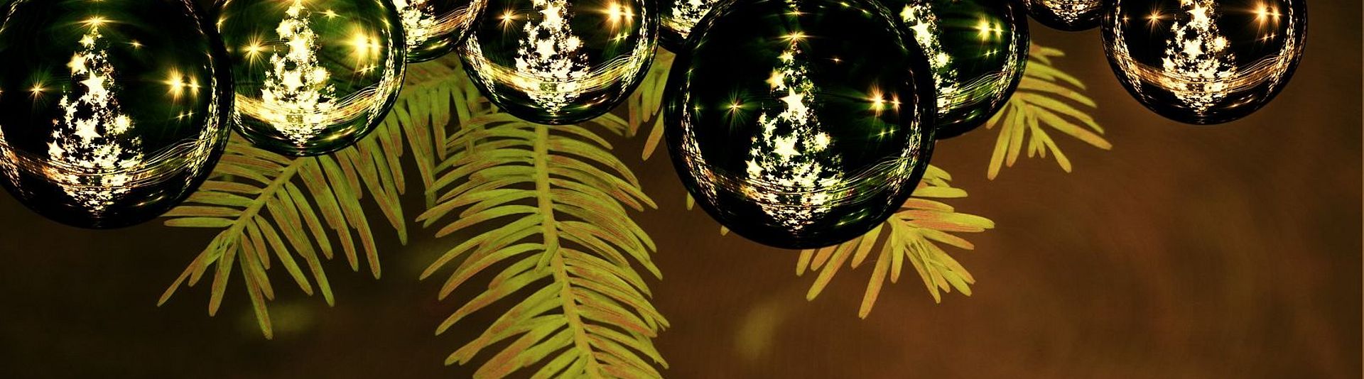 Adventsmarkt und Weihnachtsbäume am - Duisburg Live