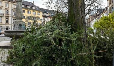 Hier werdet ihr 2025/26 euren alten Weihnachtsbaum in Karlsruhe los