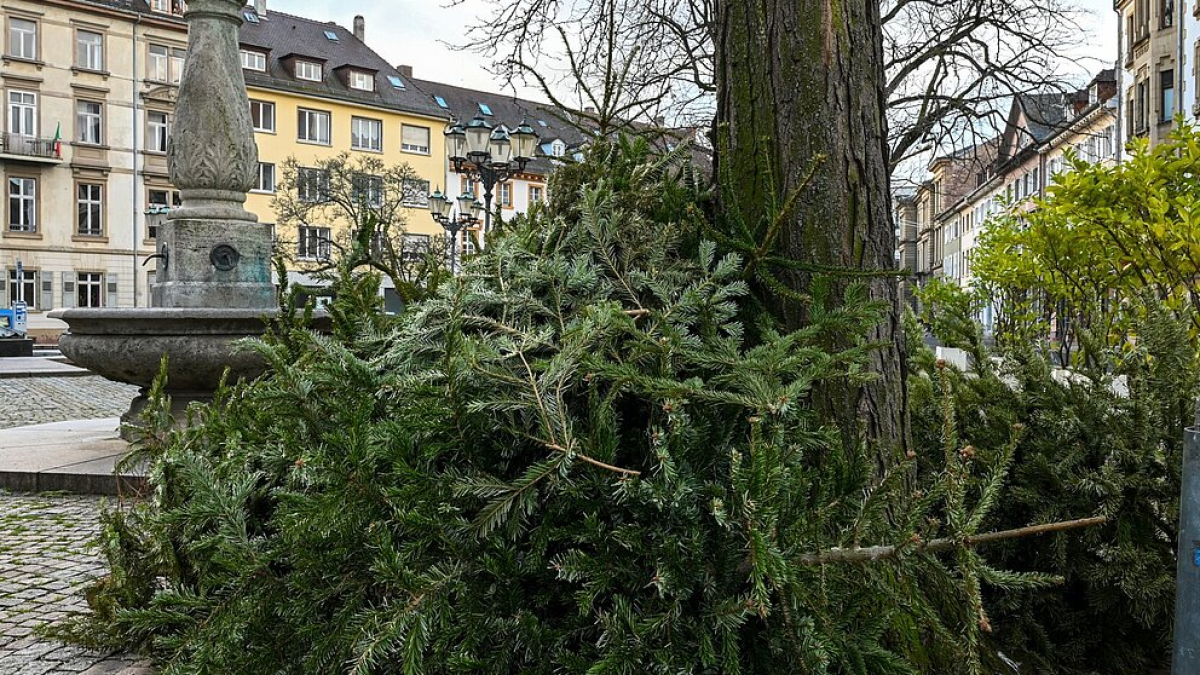 Hier werdet ihr 2025/26 euren alten Weihnachtsbaum in Karlsruhe los