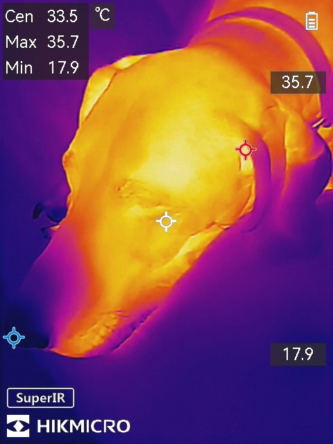Hikmicro Minix Screenshots