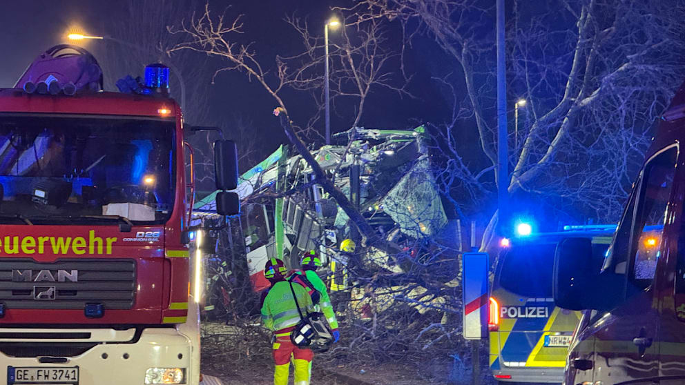 Der Linienbus war gegen einen Baum gekracht, hatte diesen umgerissen