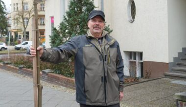 Ein Berliner Gärtnermeister pflanzt Straßenbäume einfach selbst