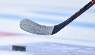 Adler Mannheim klettern nach Doppelerfolg auf Rang zwei in der DEL