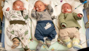 Drillinge in Dresden: Dieses Trio ist seltener als ein Lottogewinn | Regional