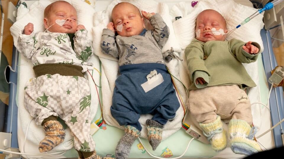 Drillinge in Dresden: Dieses Trio ist seltener als ein Lottogewinn | Regional