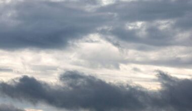 «Frühlingshaft» anmutende zweistellige Temperaturen erwartet