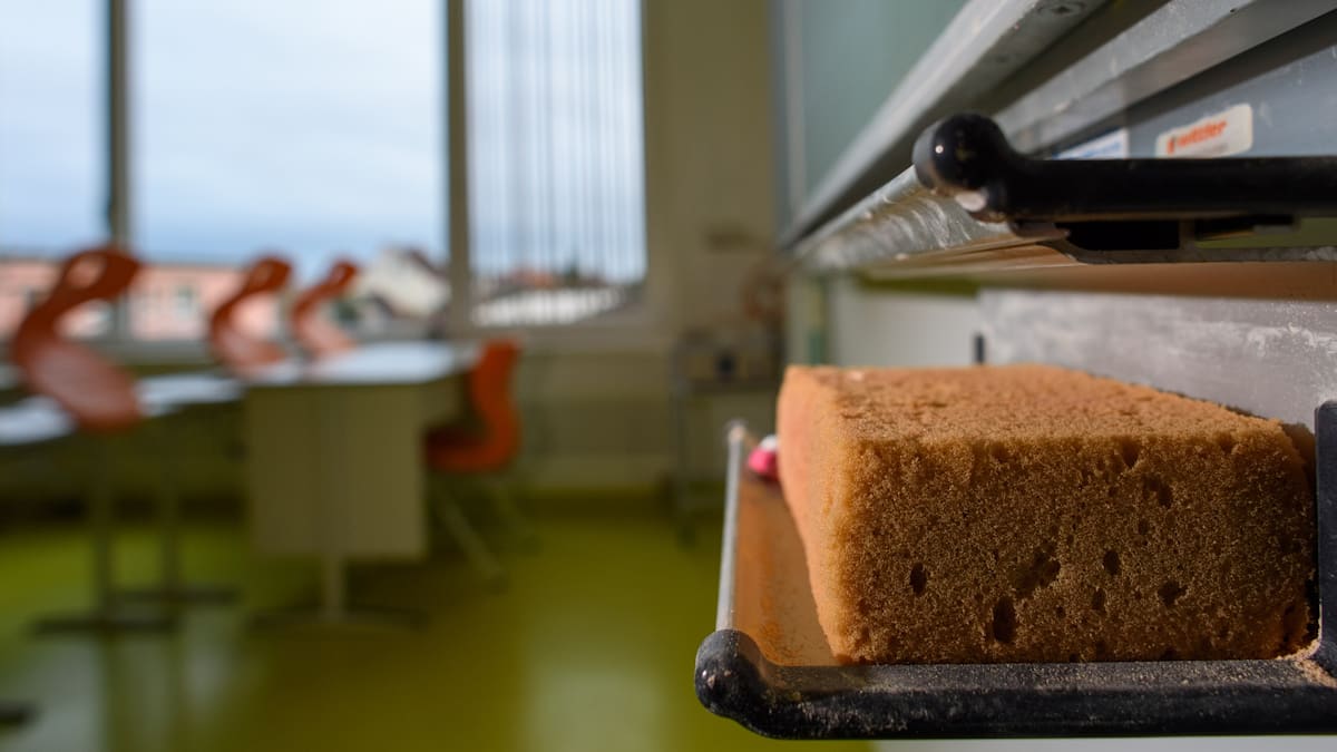 Brandenburg: „Ich muss nicht neutral sein“ – Schulleiter verteidigt Praktikumsverbot bei AfD