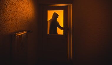 Festnahmen: Hamburger Polizei stoppt Einbrecher an Weihnachten – wie Sie Ihr Zuhause besser schützen