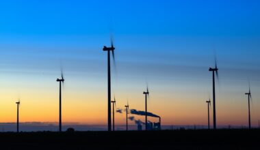 EU-Klimaschutzverordnung: Deutschland vor horrenden Milliarden-Strafen – wegen seiner Vorreiterrolle - WELT