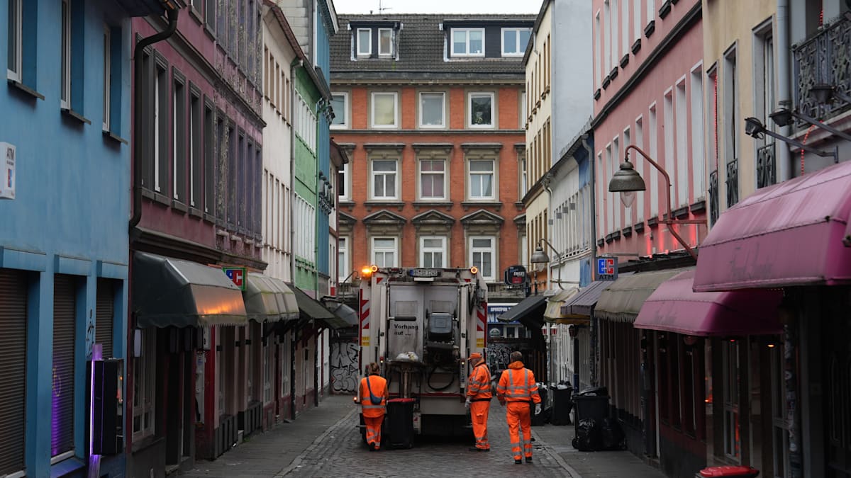 Gebührenerhöhung: Warum Laubsäcke in Hamburg plötzlich deutlich teurer werden
