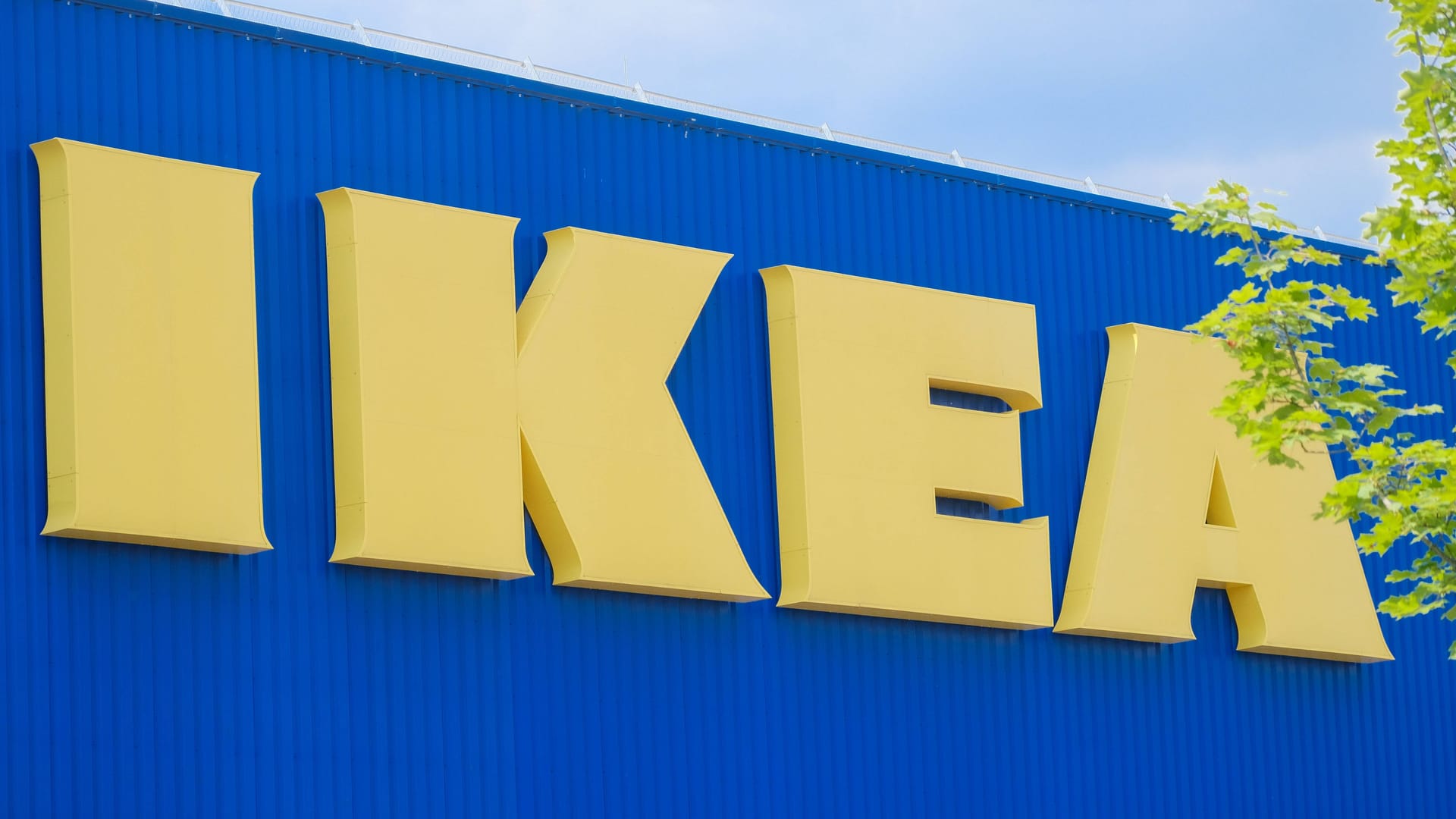 imago images 0625725440