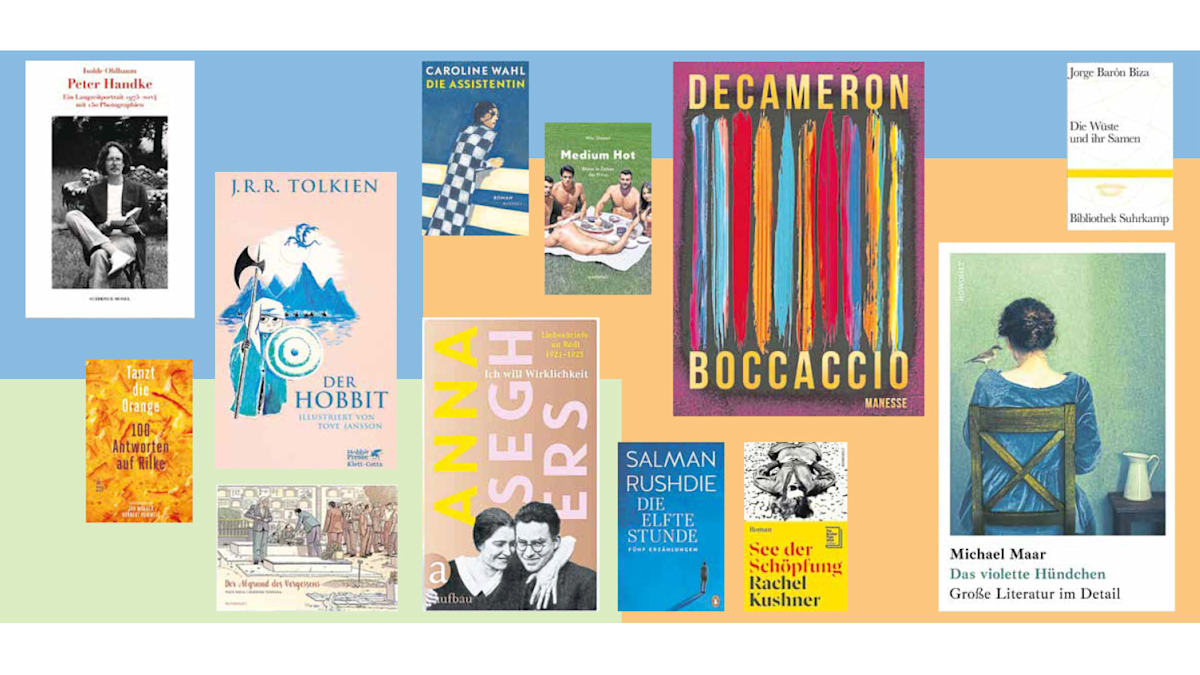 Weihnachtsgeschenke: Die stärksten Bücher 2025 - für jeden Geschmack ein Treffer - WELT