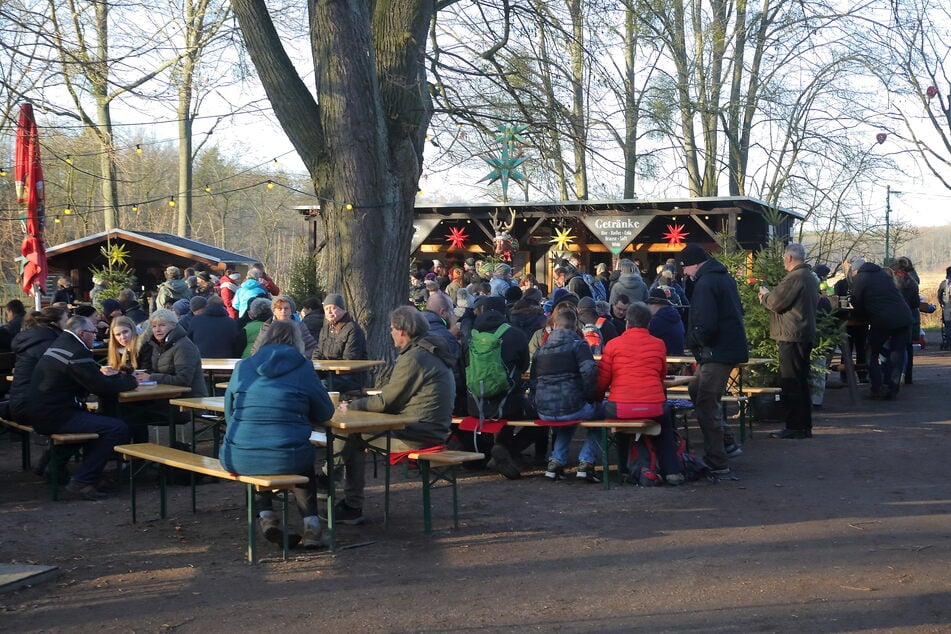 Der kleine Spaziergang zur Hofewiese in der Dresdner Heide gehört für viele bereits zu einer festen Tradition in der Weihnachtszeit. (Archivfoto)