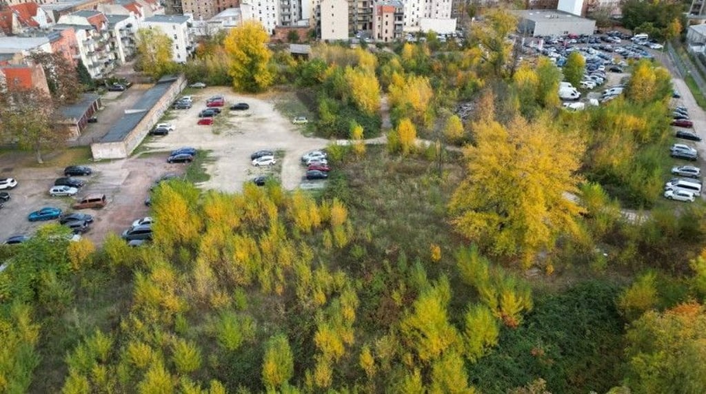 Für die Anwohner ist es eine Grünfläche, für die Stadt eine Brache, die bebaut werden soll: das Gebiet zwischen Liebenauer, Lauchstädter und Merseburger Straße in Halle. Kann ein Kompromiss gelingen?