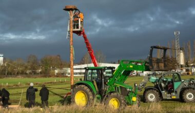 Enger: Storchennest steht wieder sicher