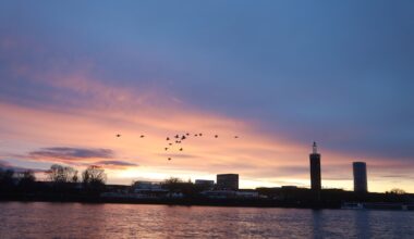 Raus im Winter um Köln: 11 Ausflüge für Wintertage in der Region