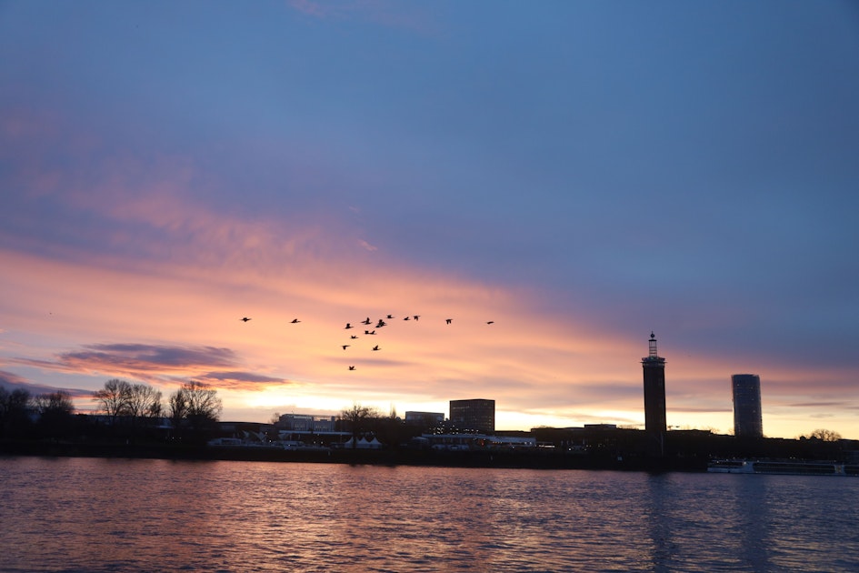 Raus im Winter um Köln: 11 Ausflüge für Wintertage in der Region