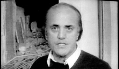 Peter Arnett: Legendärer Kriegsreporter mit 91 Jahren gestorben | Politik