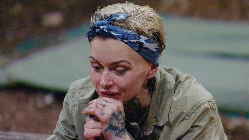 Edith Stehfest, Dschungelcamp 2025