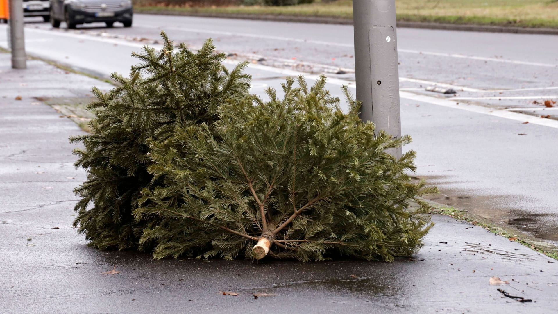 Ein Weihnachtsbaum an einer Straße (Symbolbild): In Aachen werden die Tannen Anfang Januar nur in der Innenstadt abgeholt.