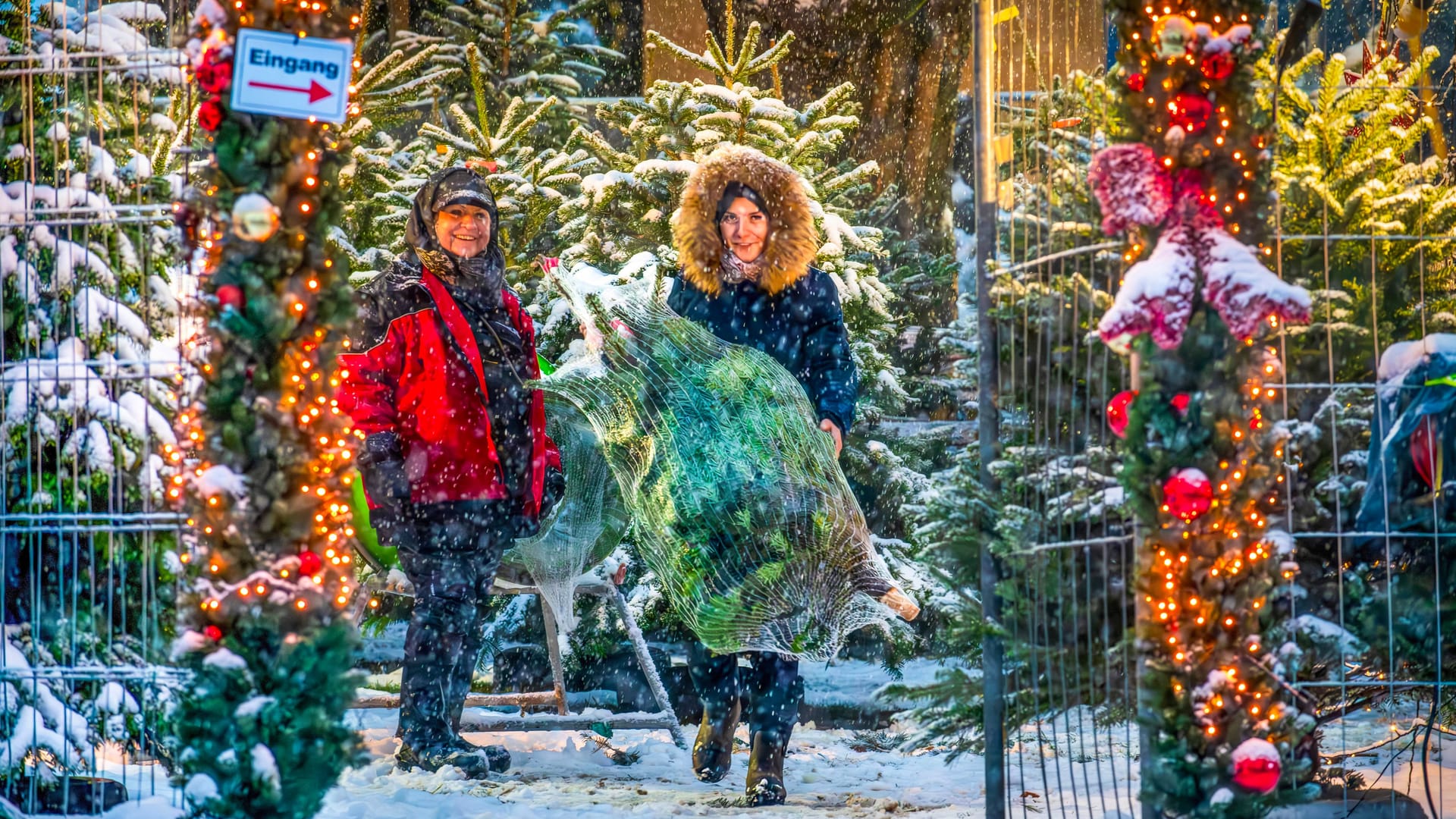 Eine Frau kauft bei Schneefall einen Weihnachtsbaum (Archivbild):
