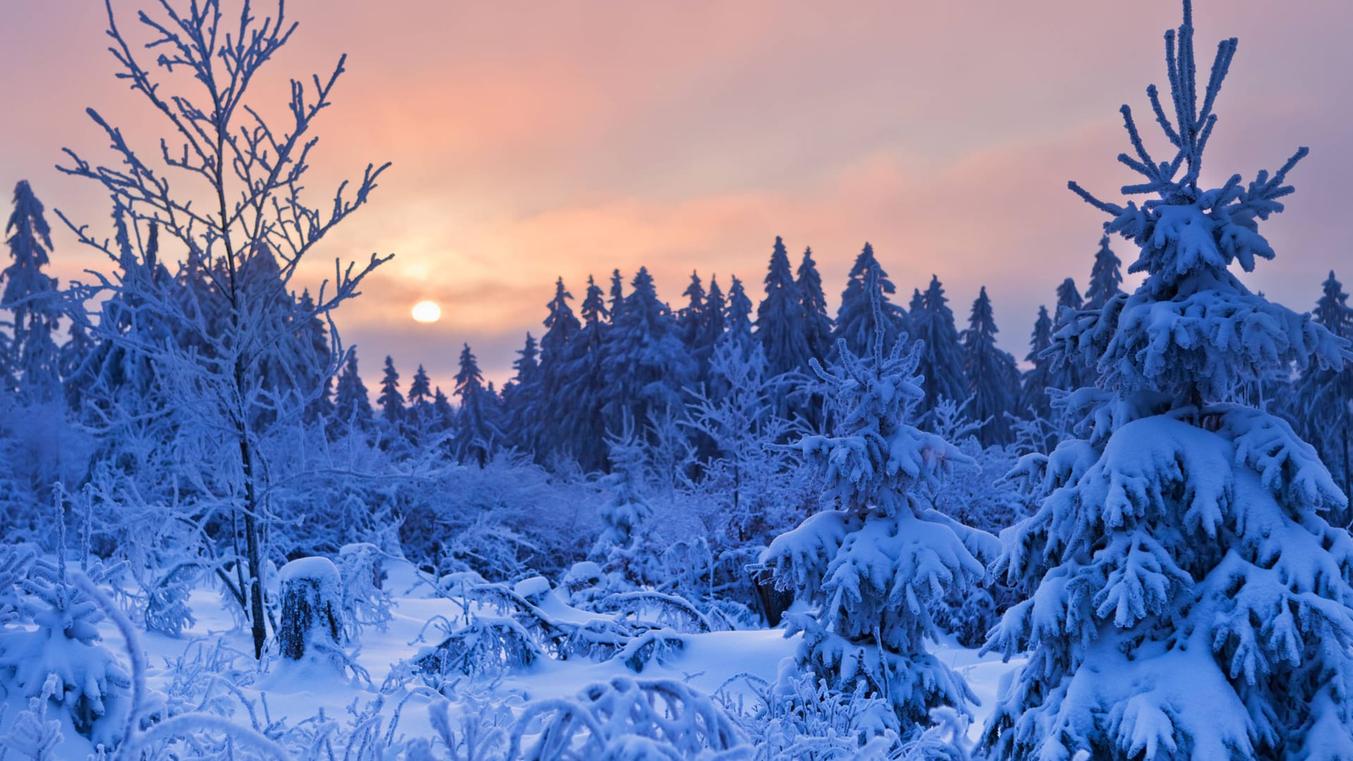 Eine Winterlandschaft aus dem Jahr 2010. Zuletzt fiel in Deutschland vor 15 Jahren flächendeckend Schnee zu Weihnachten. Eine Winterlandschaft aus dem Jahr 2010. Zuletzt fiel in Deutschland vor 15 Jahren flächendeckend Schnee zu Weihnachten.