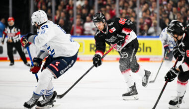 Köln gegen Mannheim - der Klassiker am Sonntagnachmittag vor vollem Haus