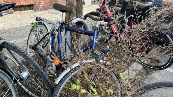 Ein Schrottrad steht in der Kieler Ahlmannstraße. | NDR, Moritz Mayer Schrotträder stehen an einer Straße.