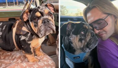 Bill Kaulitz ganz verliebt in neuen Wuffi | Unterhaltung