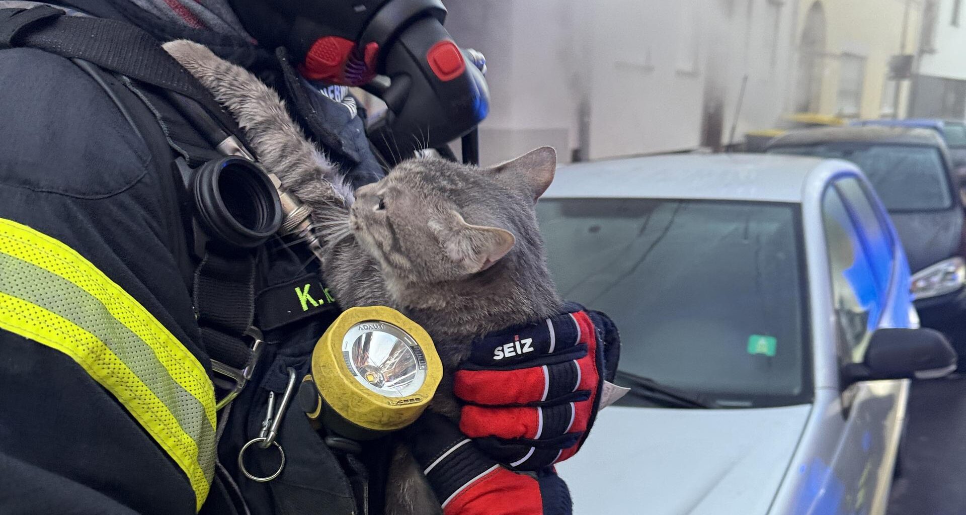 Feuerwehr rettet Katze aus brennendem Haus ➤ Hessen am Morgen: Die Nachrichten im Ticker